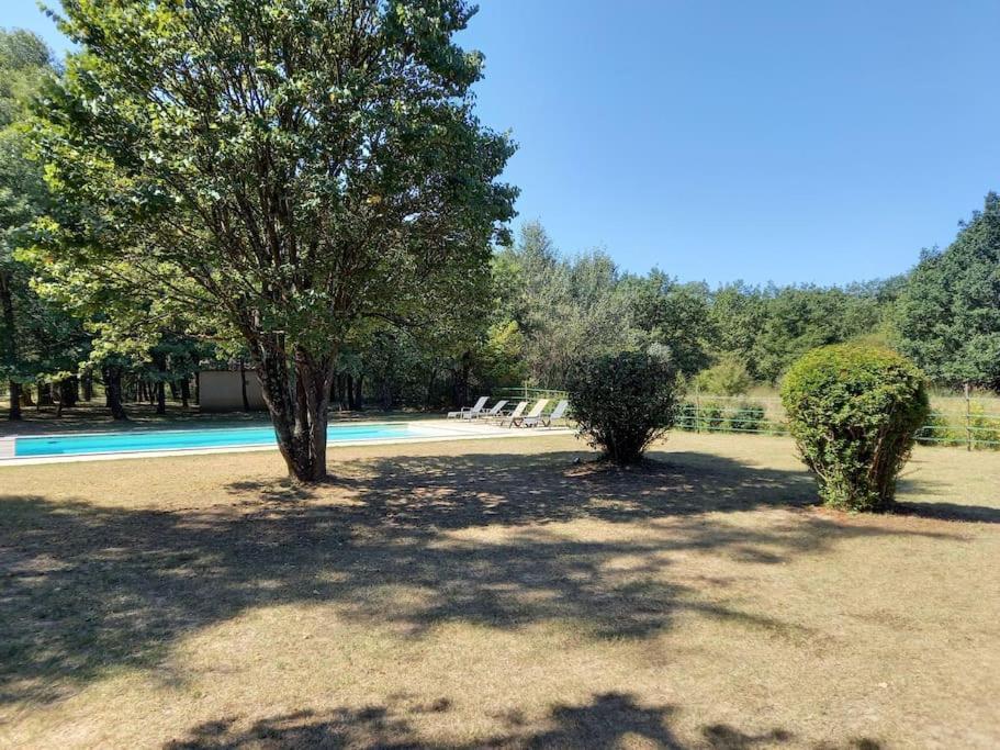 Maison Piscine Au Pied Du Luberon Βίλα Saint-Martin-de-Castillon Εξωτερικό φωτογραφία